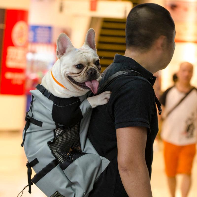 Mochila Canguru para Cachorros - Pet Outback