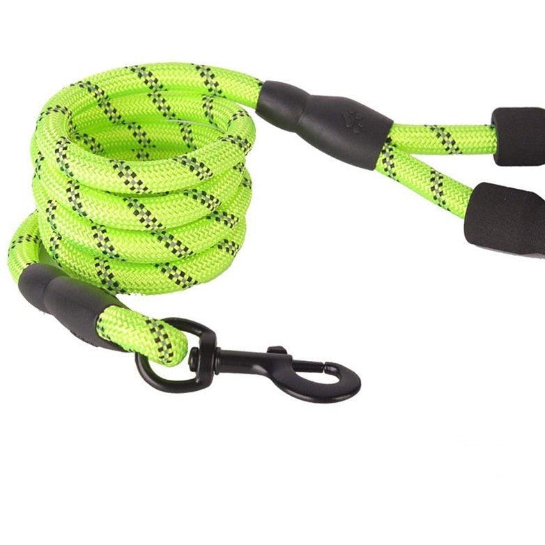 Guia para Cachorros - Dog Leash