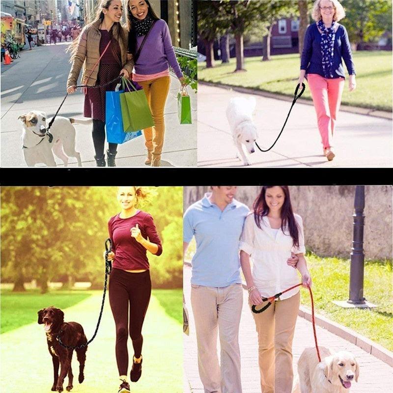 Guia para Cachorros - Dog Leash