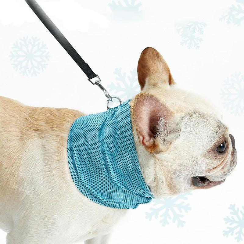 Bandana Refrescante para Cachorros - Cooling Dog