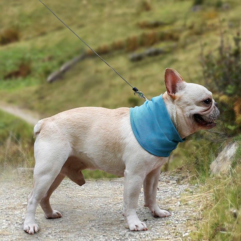 Bandana Refrescante para Cachorros - Cooling Dog