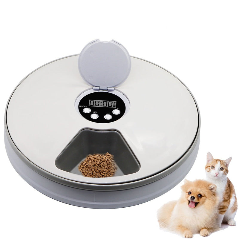 Alimentador Automático para Cachorros e Gatos - Pet Feeder