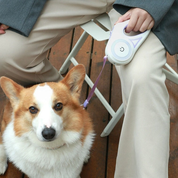 Guia Retrátil para Cachorros - Dog Walk LED