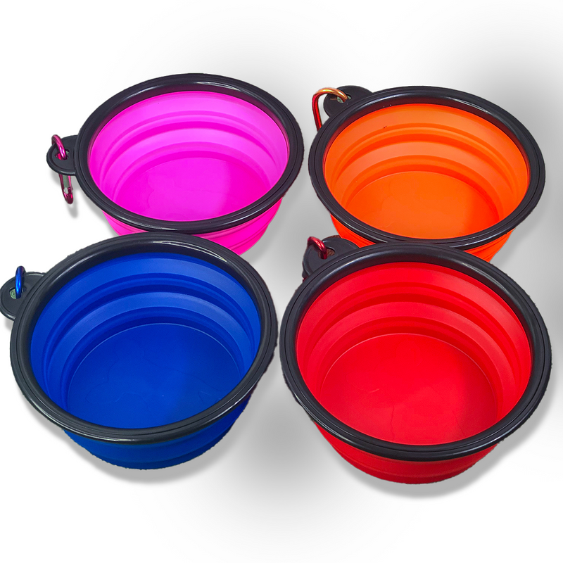 Comedouro e Bebedouro para Cachorros e Gatos - Pet Bowl 2 em 1