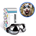 Óculos para Cachorros - Dog Goggles