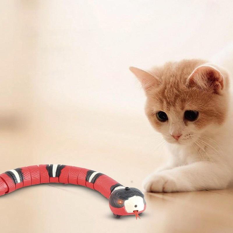 Brinquedo para Gatos - Cobra Inteligente com USB