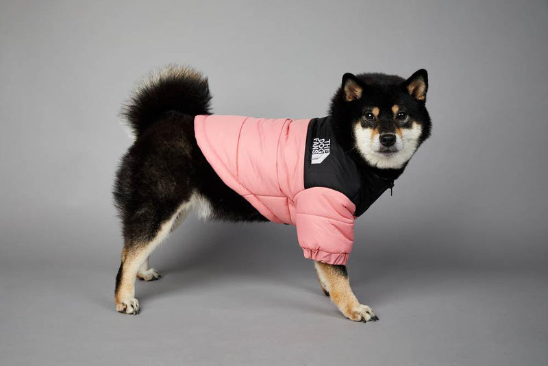 Roupa de frio para Cachorros - Jaqueta The Dog Fans