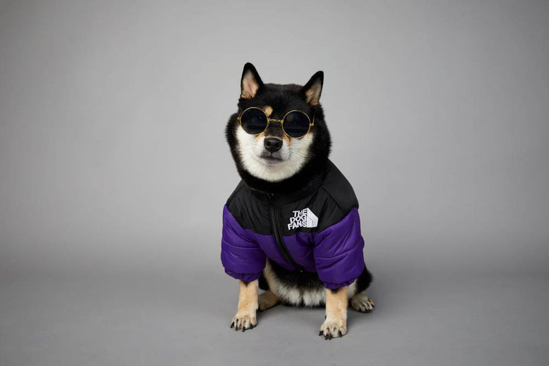 Roupa de frio para Cachorros - Jaqueta The Dog Fans