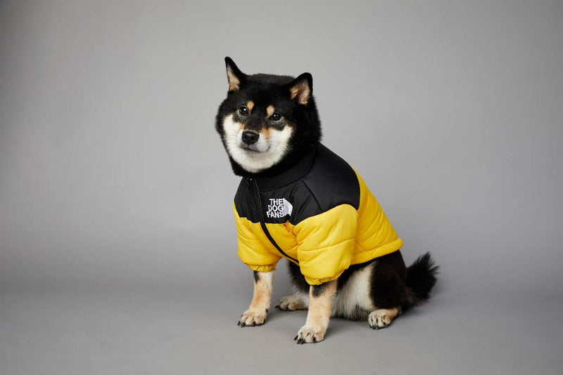 Roupa de frio para Cachorros - Jaqueta The Dog Fans