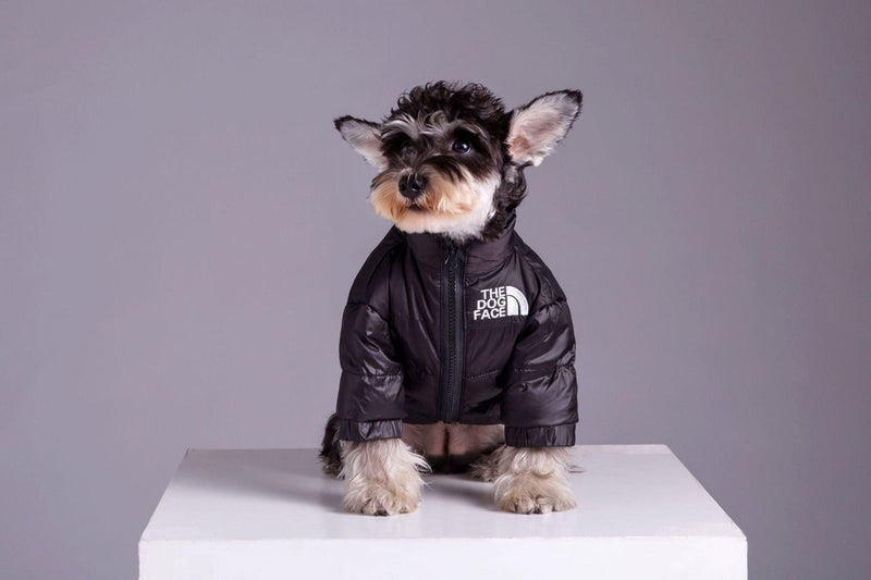 Roupa de Frio para Cachorros - Jaqueta The Dog Face