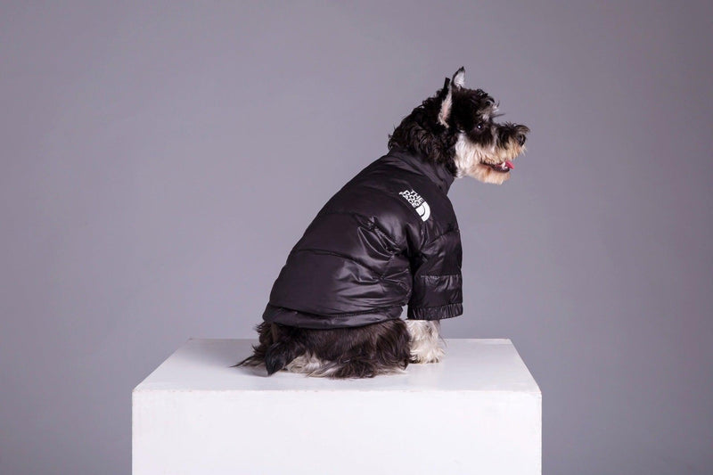 Roupa de Frio para Cachorros - Jaqueta The Dog Face